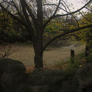 Rhino Reserve-Third Indian Rhinoceros exhibit