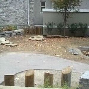 Reptile House-Galapagos Tortoise exhibit