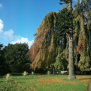 Sewerby Hall and gardens, gardens near zoo 27th October 2012