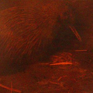 North Island Brown Kiwi