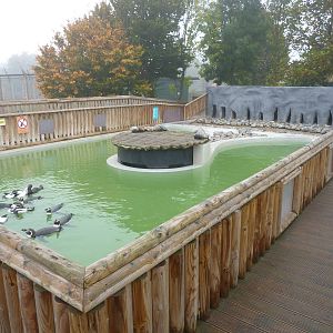 Penguin enclosure (upper level) ,23rd October 2012.