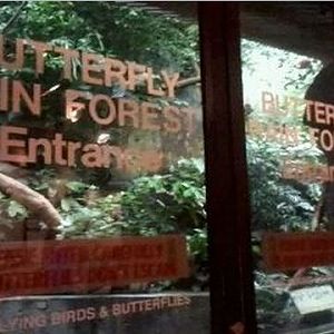 World of the Insect-Butterfly Rainforest entrance