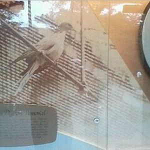 Passenger Pigeon Memorial