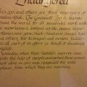 Passenger Pigeon Memorial