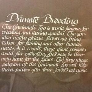 Passenger Pigeon Memorial