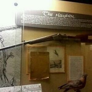 Passenger Pigeon Memorial