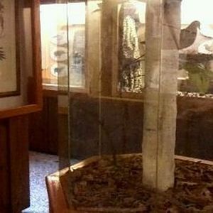 Passenger Pigeon Memorial