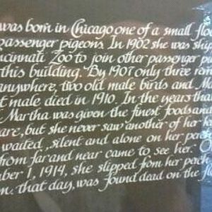 Passenger Pigeon Memorial