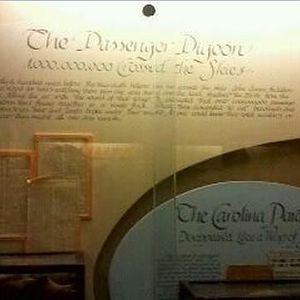 Passenger Pigeon Memorial