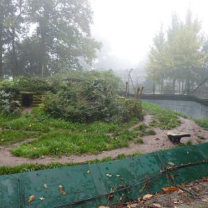 Part of ratel enclosure, 23rd October 2012.