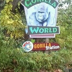 Gorilla World-Entrance Sign
