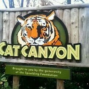 Cat Canyon-Entrance Sign