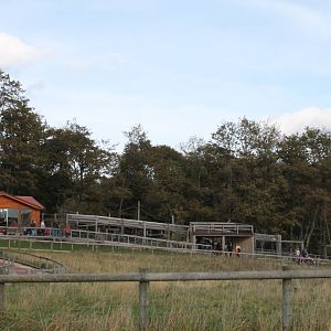 View of the Patas/Stump Tailed Macaque Enclosures
