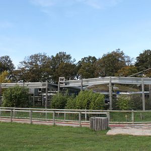 Capuchins Enclosures.
