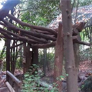 Aug. 2012-Lesser Adjutant Stork exhibit viewing