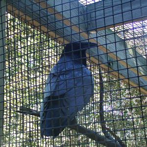 You looking for trouble, boy!