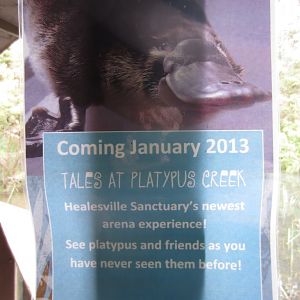 Platypus signage