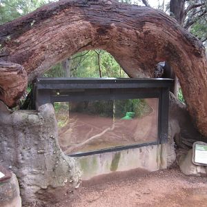Reptile enclosure