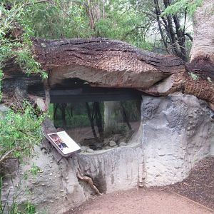 Reptile enclosure