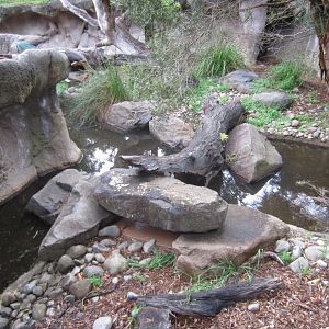 Lace Monitor enclosure