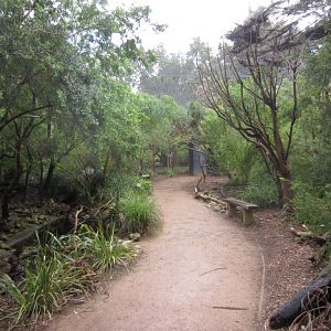 Interior of a walkthrough aviary
