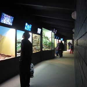 Interior of Reptile House