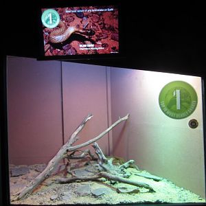 Taipan enclosure and signage