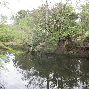 Interior of Wetlands Aviary