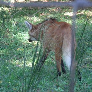 I don't have a good side.