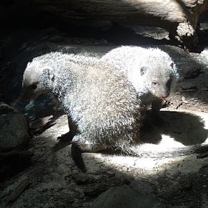 Their time in the spotlight