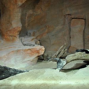 Perentie Exhibit 11/2012