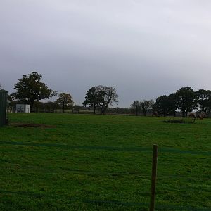 Camel exhibit at Yorkshire WP 01/11/12