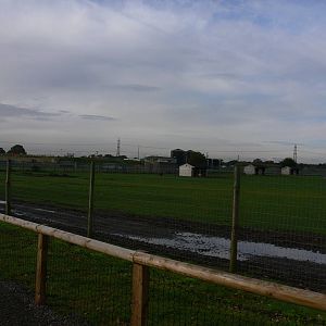 African Plains at Yorkshire WP 01/11/12