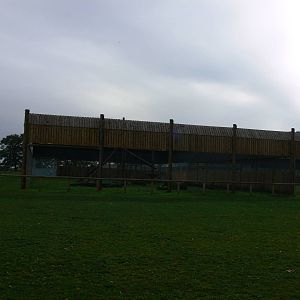 Leopard exhibit at Yorkshire WP 01/11/12