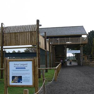 Leopard exhibit at Yorkshire WP 01/11/12