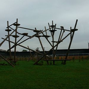 Leopard exhibit at Yorkshire WP 01/11/12