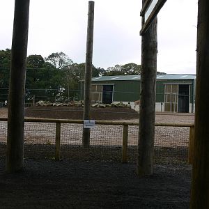 Giraffe exhibit at Yorkshire WP 01/11/12