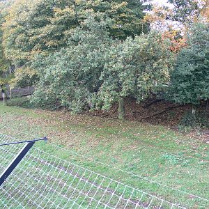 Land of the Tiger exhibit at Yorkshire WP 01/11/12
