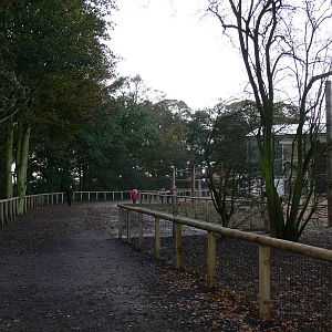 Giraffe viewing at Yorkshire WP 01/11/12