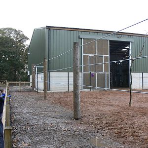 Giraffe viewing at Yorkshire WP 01/11/12