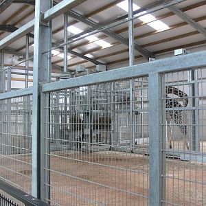 Giraffe house at Yorkshire WP 01/11/12