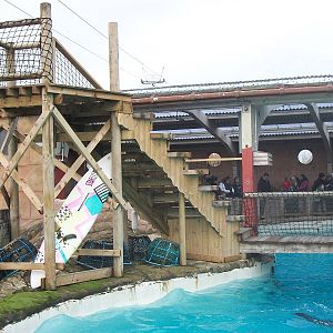 New tower at Sealion Centre