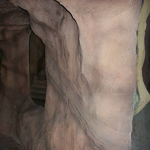 Reptile area under construction 1st November 2012