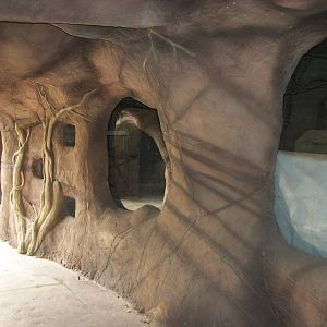 Reptile area under construction 1st November 2012