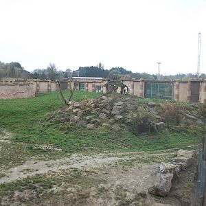 Lion exhibit from viewing area under water chute 1st November 2012