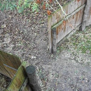 Entrance to Vicuna hardstanding 1st November 2012