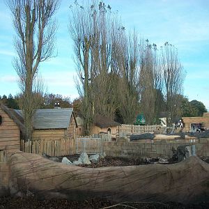 Pig yards 1st November 2012