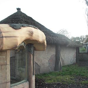 Coati exhibit 1st November 2012