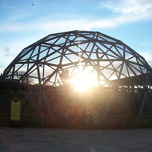 Sun setting behind Parrotsphere 1st November 2012