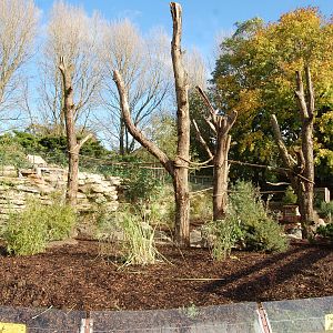 Coati and Bush Dog Exhibit